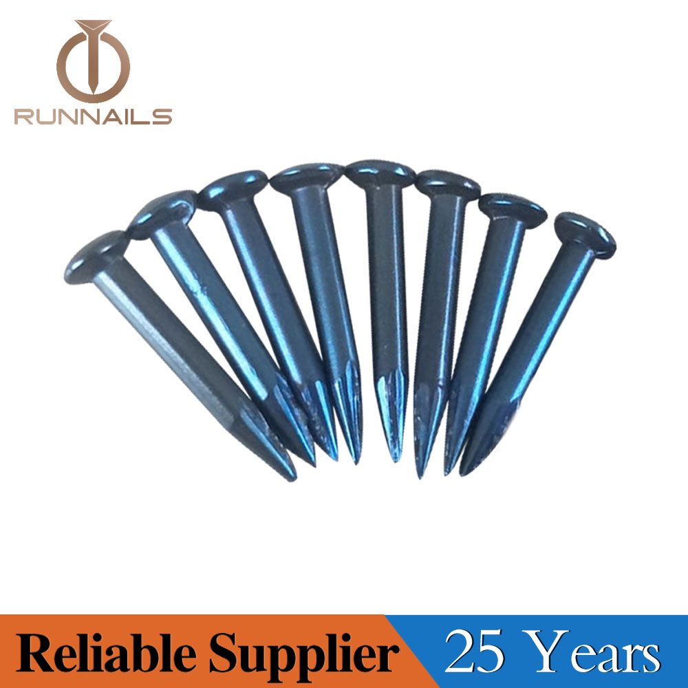 Blue Concrete Steel Nail with Round Cut and Sharp Point--25 Years